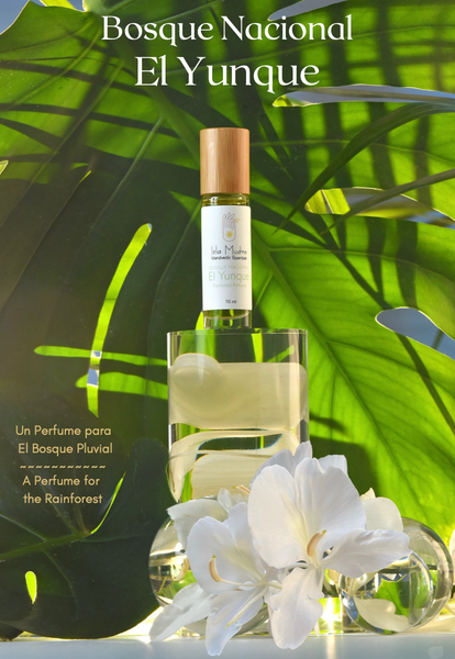 A perfume for the Rainforest...